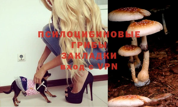 МДМА Покачи
