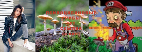 гидра Абинск