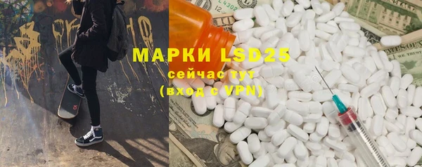 прущие грибы Покров