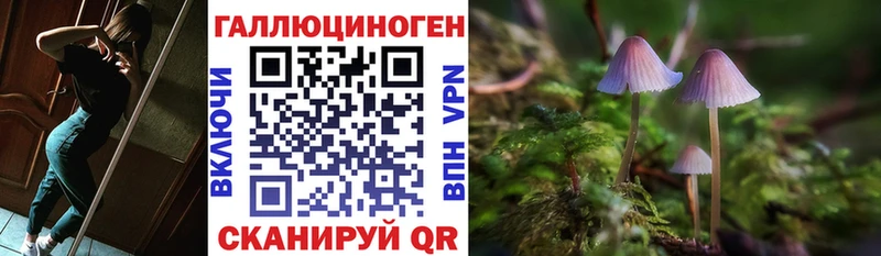 купить наркотики сайты  Белый  Галлюциногенные грибы Cubensis 